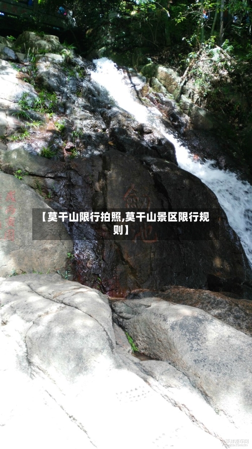 【莫干山限行拍照,莫干山景区限行规则】