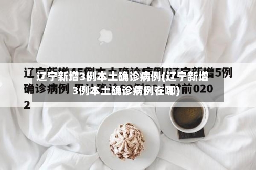 辽宁新增3例本土确诊病例(辽宁新增3例本土确诊病例在哪)