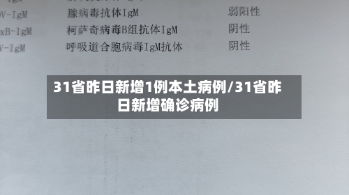 31省昨日新增1例本土病例/31省昨日新增确诊病例