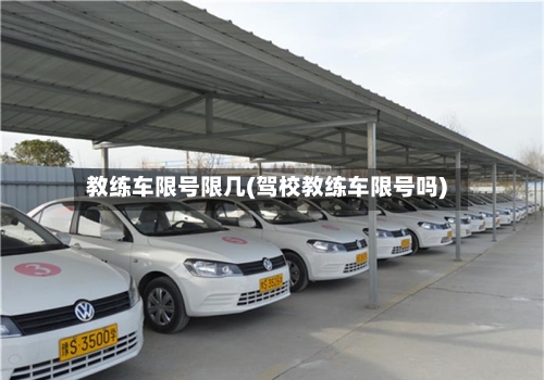 教练车限号限几(驾校教练车限号吗)