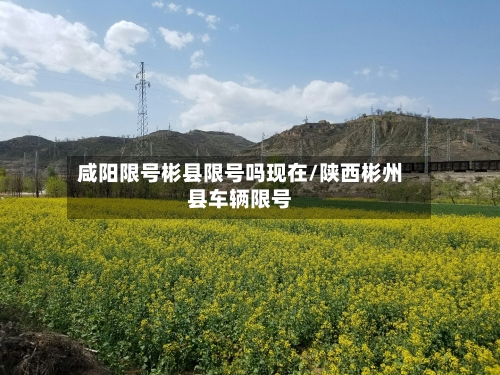 咸阳限号彬县限号吗现在/陕西彬州县车辆限号-第3张图片