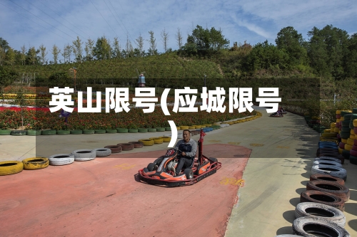 英山限号(应城限号)