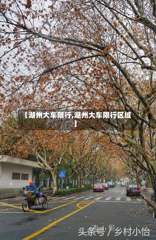 【湖州大车限行,湖州大车限行区域】-第3张图片
