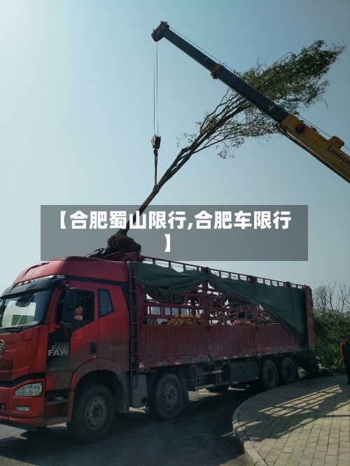 【合肥蜀山限行,合肥车限行】-第2张图片
