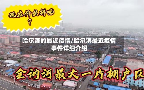 哈尔滨的最近疫情/哈尔滨最近疫情事件详细介绍-第2张图片