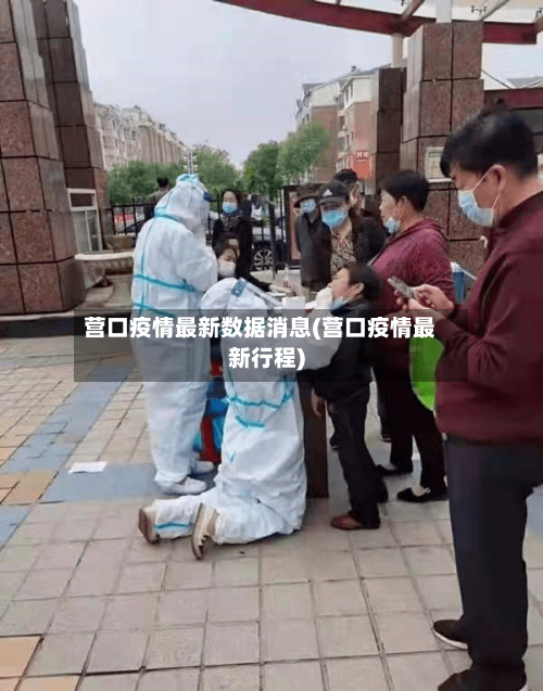 营口疫情最新数据消息(营口疫情最新行程)-第2张图片