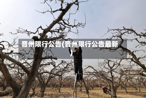 晋州限行公告(晋州限行公告最新)