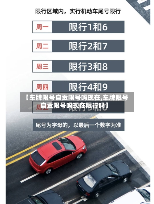 【车牌限号自贡限号吗现在,车牌限号自贡限号吗现在限行吗】-第2张图片