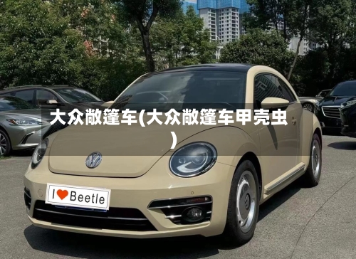大众敞篷车(大众敞篷车甲壳虫)-第2张图片