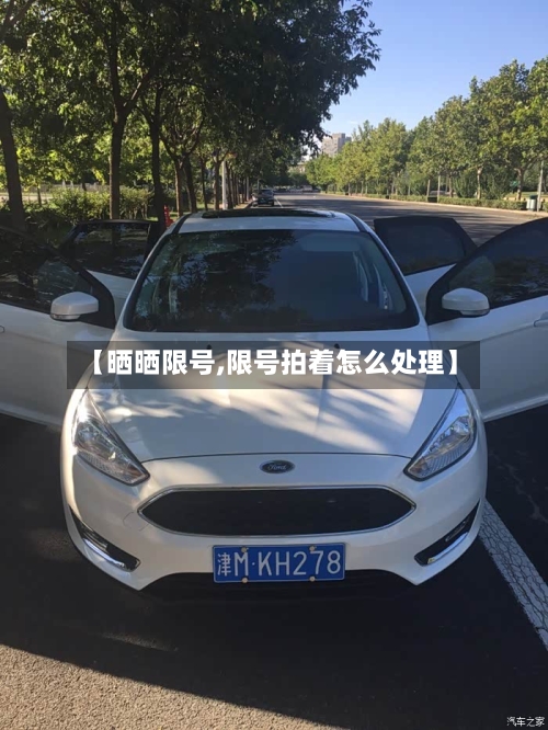 【晒晒限号,限号拍着怎么处理】-第2张图片