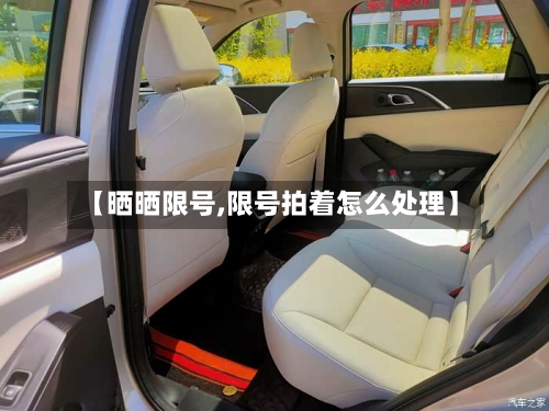 【晒晒限号,限号拍着怎么处理】-第3张图片