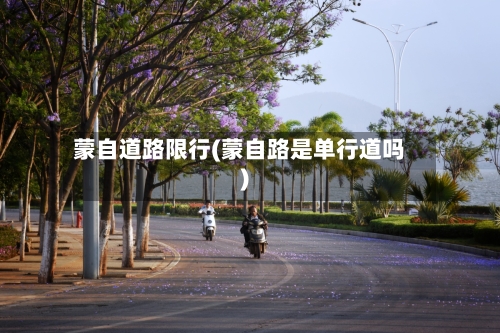 蒙自道路限行(蒙自路是单行道吗)-第3张图片