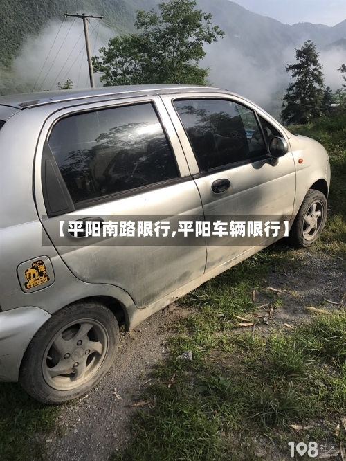 【平阳南路限行,平阳车辆限行】