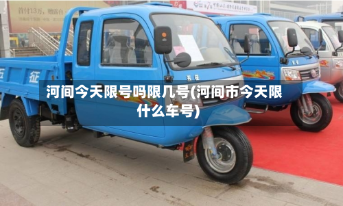 河间今天限号吗限几号(河间市今天限什么车号)