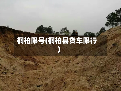 桐柏限号(桐柏县货车限行)-第2张图片