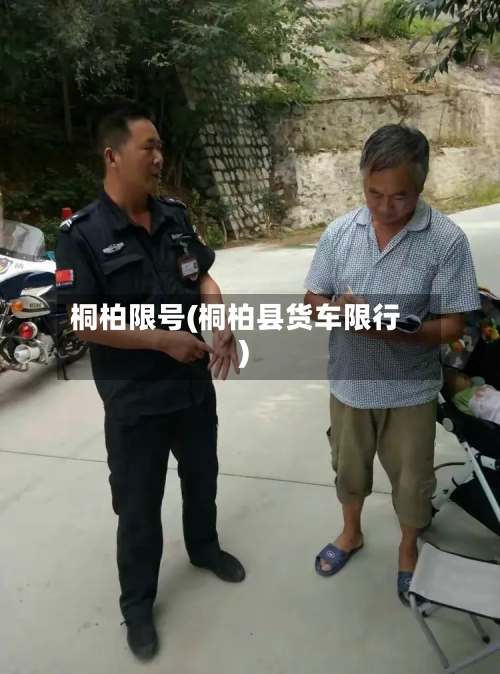 桐柏限号(桐柏县货车限行)