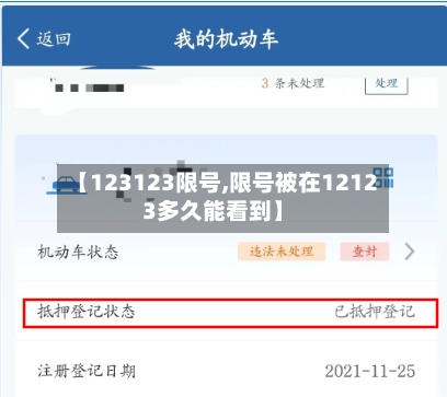 【123123限号,限号被在12123多久能看到】