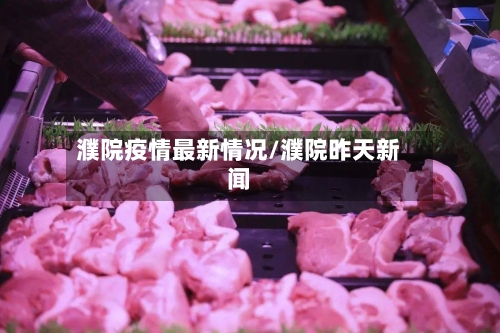 濮院疫情最新情况/濮院昨天新闻