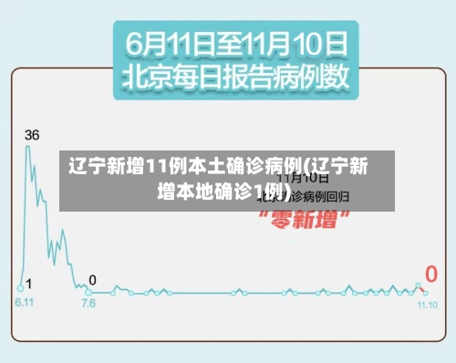 辽宁新增11例本土确诊病例(辽宁新增本地确诊1例)