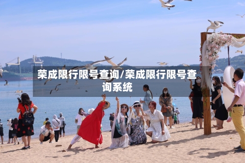 荣成限行限号查询/荣成限行限号查询系统-第2张图片