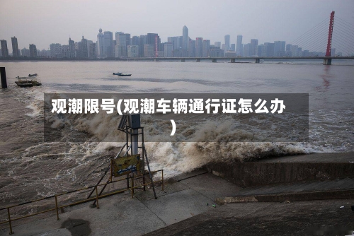 观潮限号(观潮车辆通行证怎么办)-第2张图片