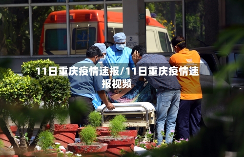 11日重庆疫情速报/11日重庆疫情速报视频