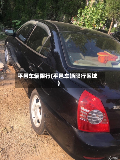 平邑车辆限行(平邑车辆限行区域)