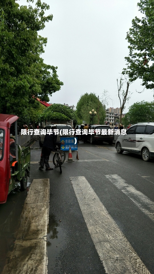 限行查询毕节(限行查询毕节最新消息)-第3张图片