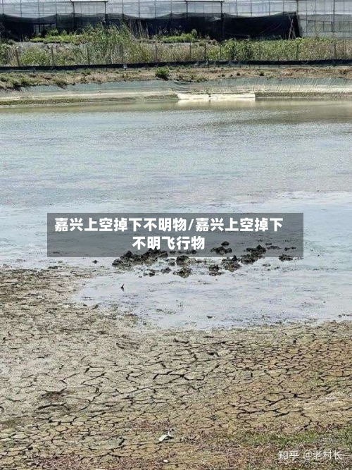 嘉兴上空掉下不明物/嘉兴上空掉下不明飞行物