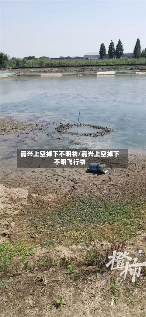 嘉兴上空掉下不明物/嘉兴上空掉下不明飞行物-第2张图片