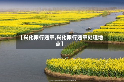 【兴化限行违章,兴化限行违章处理地点】