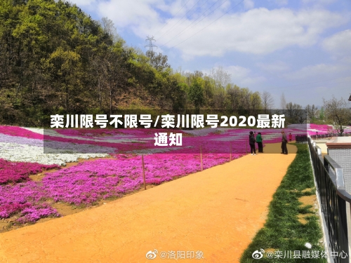 栾川限号不限号/栾川限号2020最新通知-第2张图片
