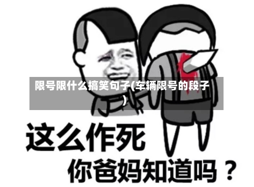 限号限什么搞笑句子(车辆限号的段子)