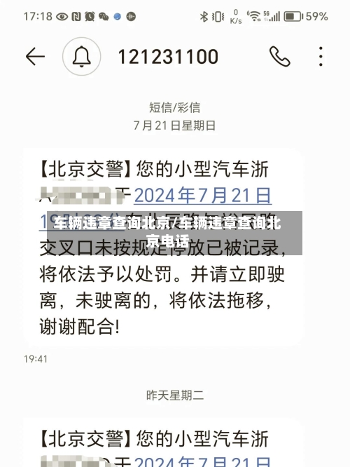 车辆违章查询北京/车辆违章查询北京电话-第3张图片