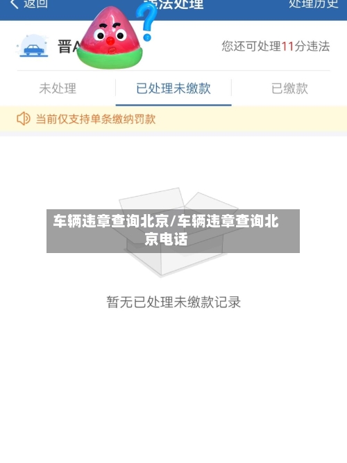 车辆违章查询北京/车辆违章查询北京电话-第2张图片
