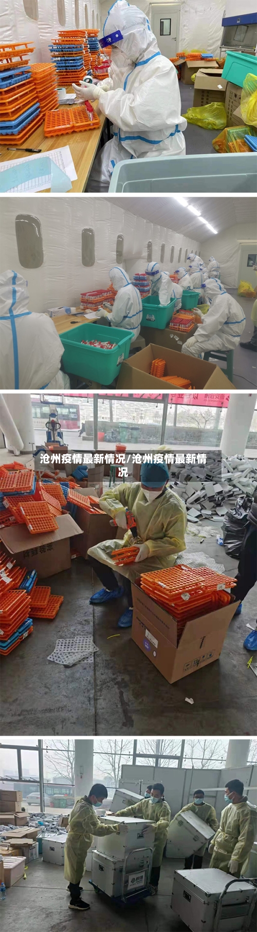 沧州疫情最新情况/沧州疫情最新情况