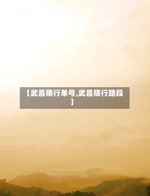 【武昌限行单号,武昌限行路段】