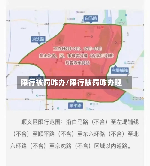 限行被罚咋办/限行被罚咋办理