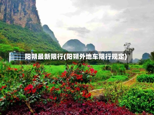 阳朔最新限行(阳朔外地车限行规定)