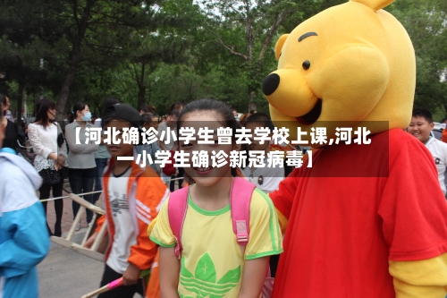 【河北确诊小学生曾去学校上课,河北一小学生确诊新冠病毒】-第2张图片