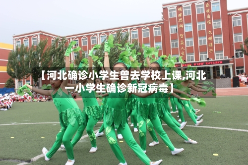 【河北确诊小学生曾去学校上课,河北一小学生确诊新冠病毒】-第3张图片