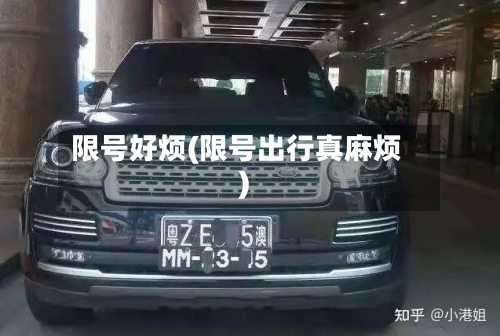 限号好烦(限号出行真麻烦)-第3张图片