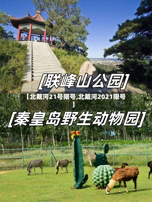 【北戴河21号限号,北戴河2021限号】