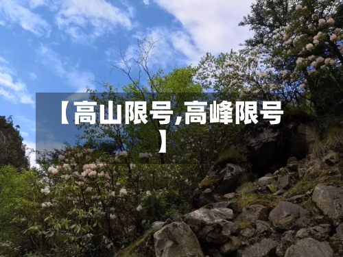 【高山限号,高峰限号】-第2张图片