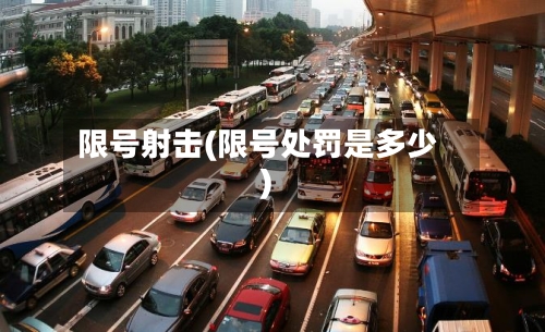 限号射击(限号处罚是多少)-第2张图片