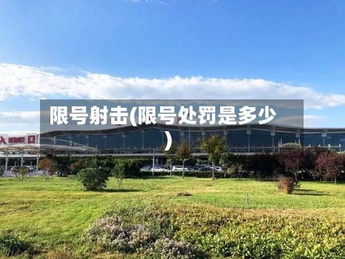 限号射击(限号处罚是多少)-第3张图片