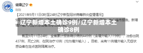 辽宁新增本土确诊9例/辽宁新增本土确诊8例-第2张图片