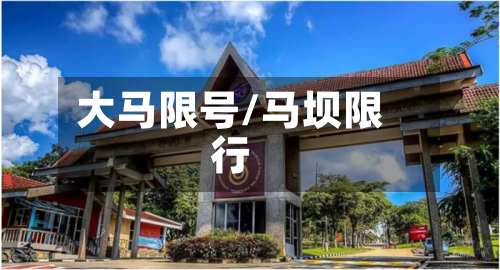 大马限号/马坝限行-第2张图片