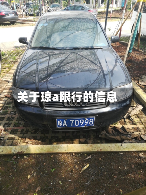 关于琼a限行的信息-第2张图片