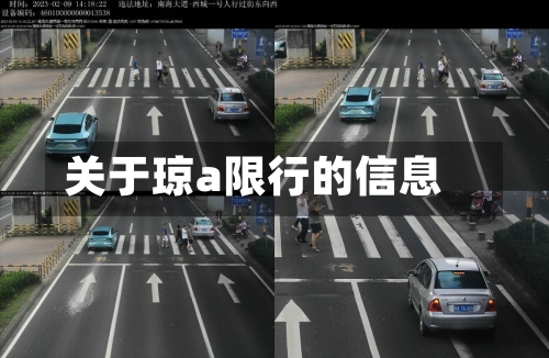 关于琼a限行的信息-第3张图片